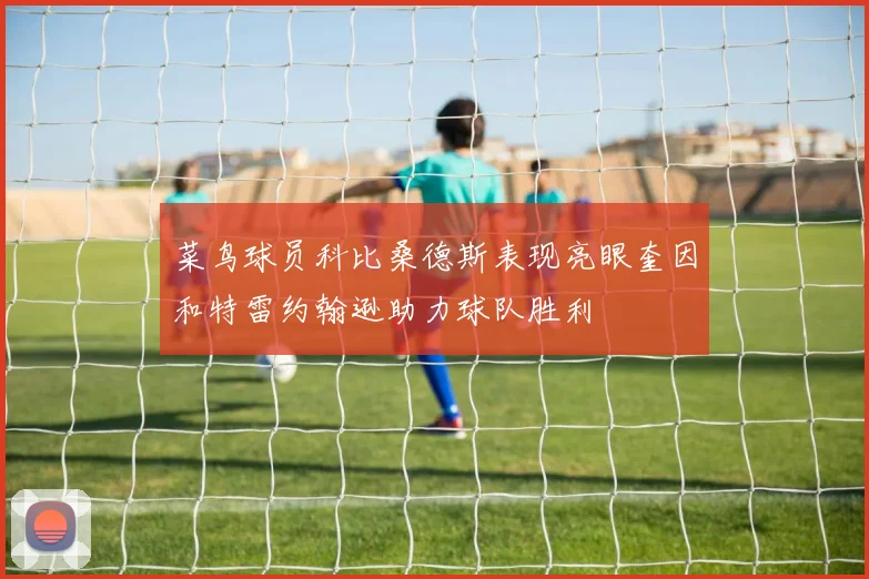 菜鸟球员科比桑德斯表现亮眼奎因和特雷约翰逊助力球队胜利